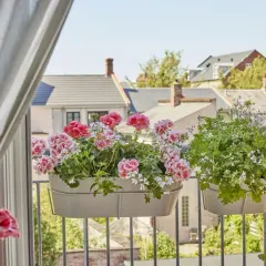 Kwitnące pelargonie w doniczkach na balkonie z widokiem na dachy domów.