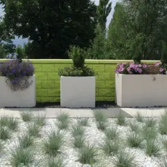 Nowoczesna aranżacja z białymi kwiatami w prostokątnych donicach na tle zielonego muru.