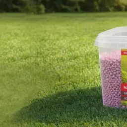 Przezroczyste opakowanie z różowymi granulkami na tle zielonego trawnika.
