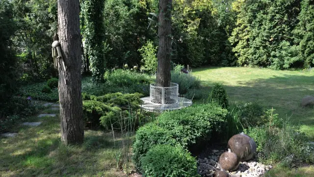 Naturalny ogród leśny z kamiennymi kulami wodnymi i ozdobną ławką wokół drzewa.
